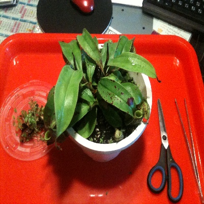 «ö¦¹¦b·sµøµ¡ÂsÄý¹Ï¤ù