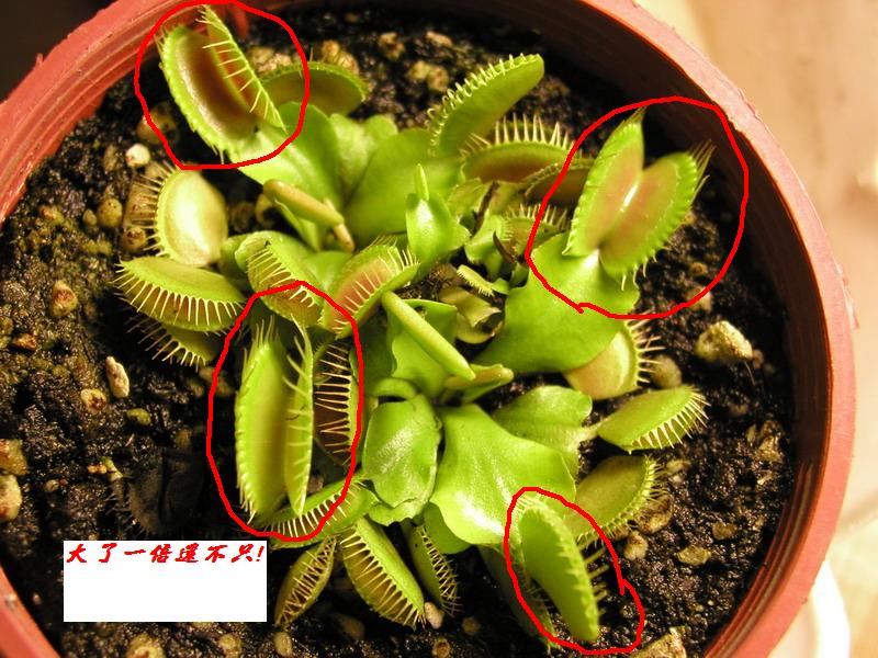 «ö¦¹¦b·sµøµ¡ÂsÄý¹Ï¤ù