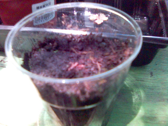 «ö¦¹¦b·sµøµ¡ÂsÄý¹Ï¤ù