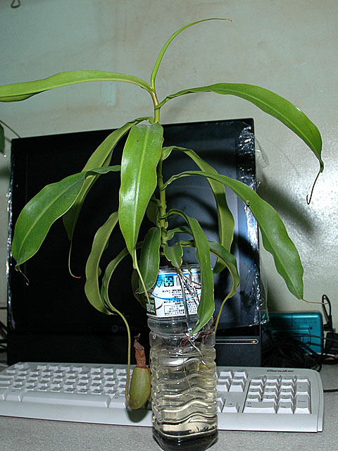 «ö¦¹¦b·sµøµ¡ÂsÄý¹Ï¤ù