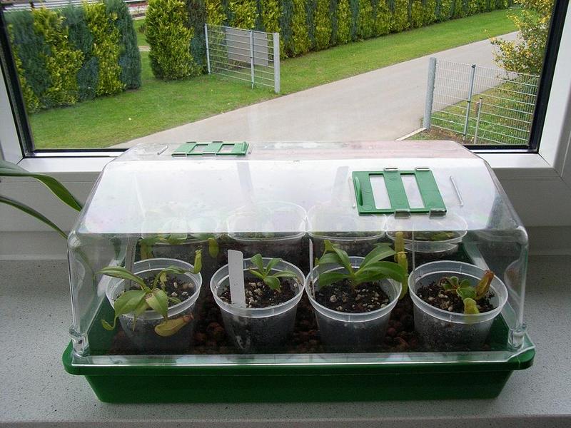 «ö¦¹¦b·sµøµ¡ÂsÄý¹Ï¤ù