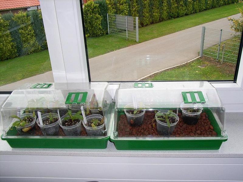 «ö¦¹¦b·sµøµ¡ÂsÄý¹Ï¤ù