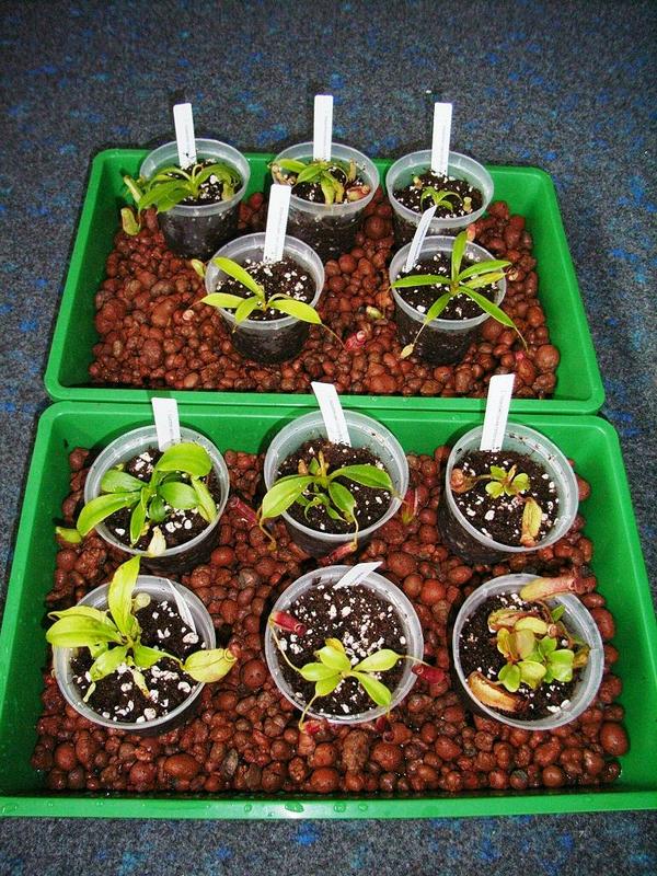 «ö¦¹¦b·sµøµ¡ÂsÄý¹Ï¤ù