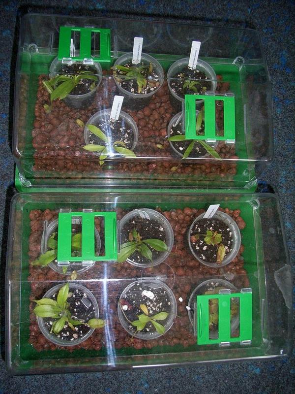 «ö¦¹¦b·sµøµ¡ÂsÄý¹Ï¤ù