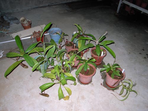 «ö¦¹¦b·sµøµ¡ÂsÄý¹Ï¤ù