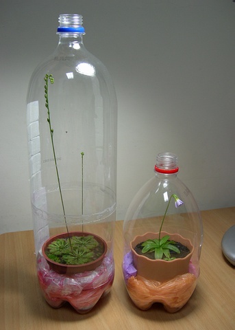 «ö¦¹¦b·sµøµ¡ÂsÄý¹Ï¤ù