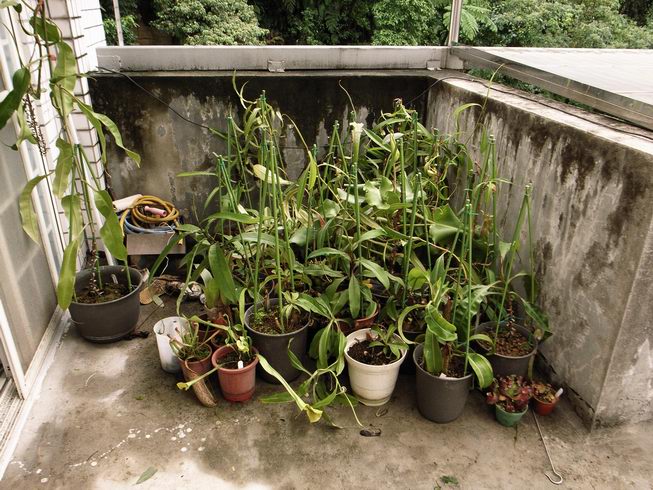 «ö¦¹¦b·sµøµ¡ÂsÄý¹Ï¤ù