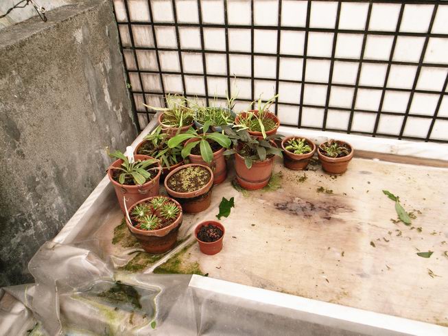 «ö¦¹¦b·sµøµ¡ÂsÄý¹Ï¤ù