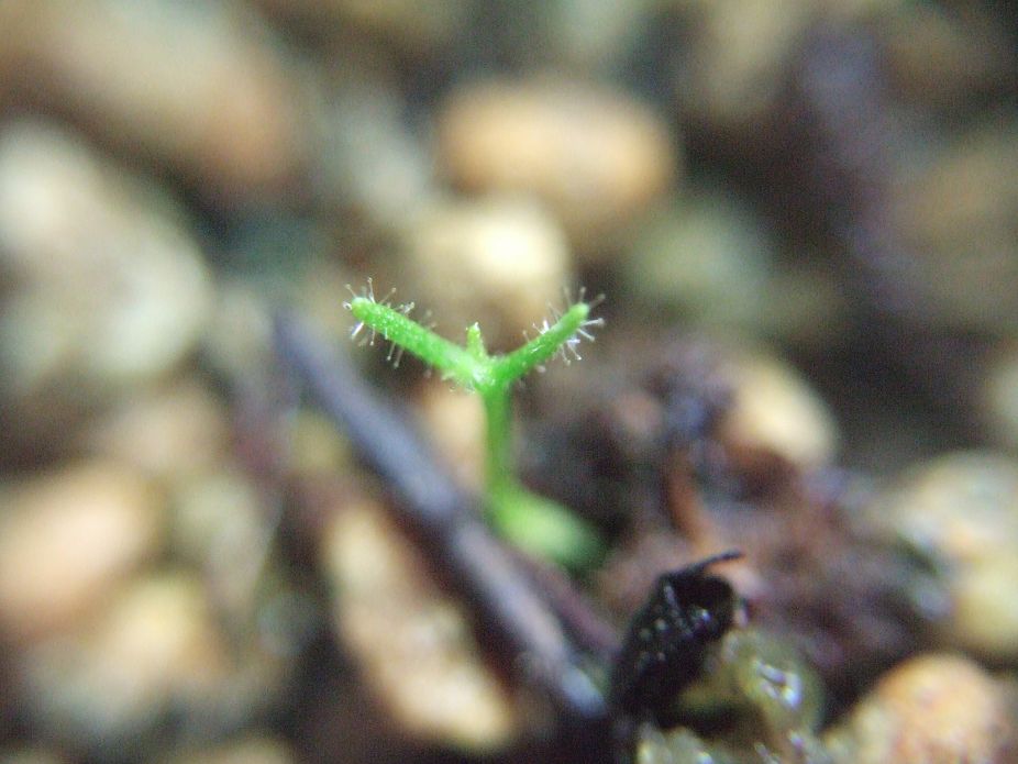 «ö¦¹¦b·sµøµ¡ÂsÄý¹Ï¤ù