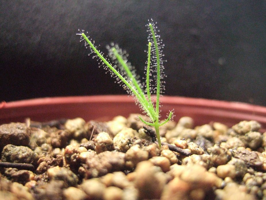 «ö¦¹¦b·sµøµ¡ÂsÄý¹Ï¤ù