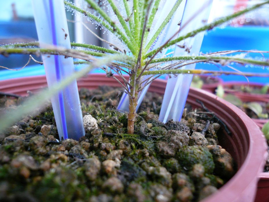 «ö¦¹¦b·sµøµ¡ÂsÄý¹Ï¤ù