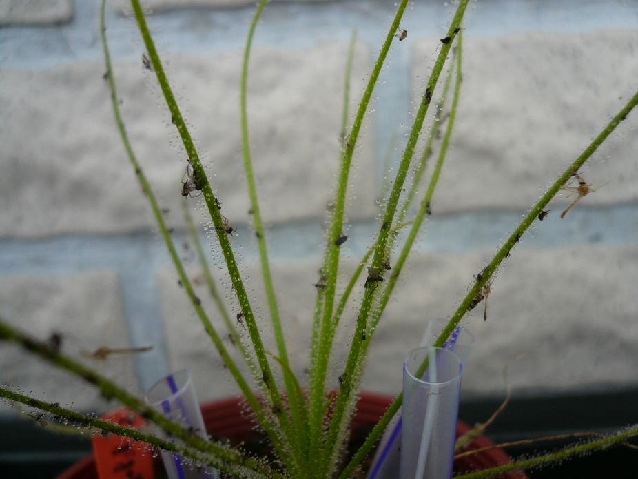 «ö¦¹¦b·sµøµ¡ÂsÄý¹Ï¤ù