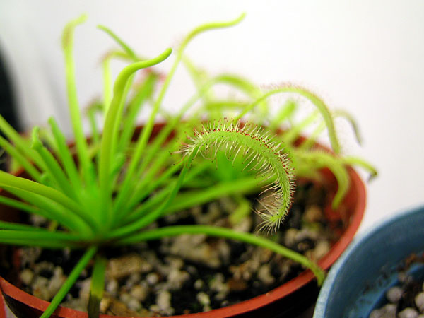 «ö¦¹¦b·sµøµ¡ÂsÄý¹Ï¤ù