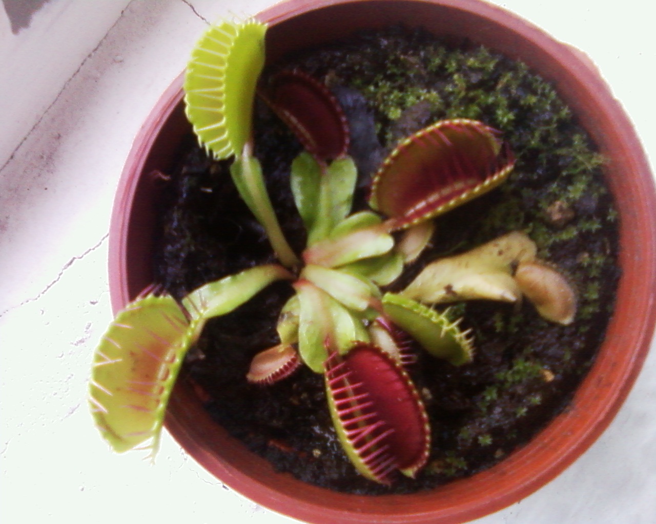 按此在新視窗瀏覽圖片