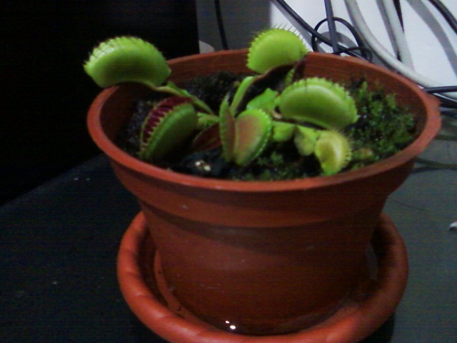 按此在新視窗瀏覽圖片