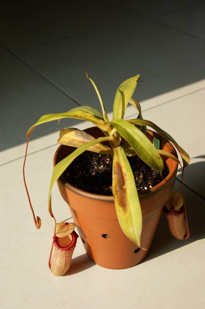 «ö¦¹¦b·sµøµ¡ÂsÄý¹Ï¤ù