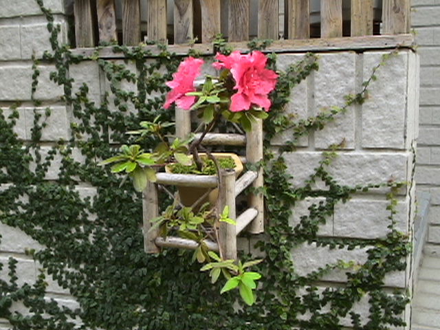 «ö¦¹¦b·sµøµ¡ÂsÄý¹Ï¤ù