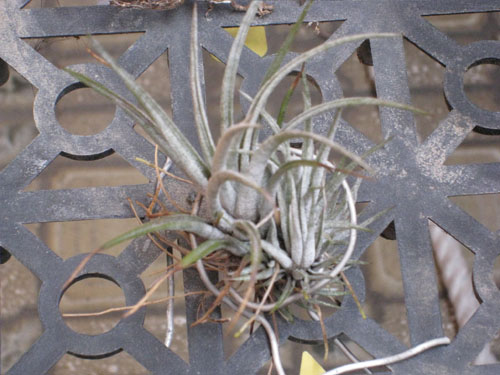 «ö¦¹¦b·sµøµ¡ÂsÄý¹Ï¤ù