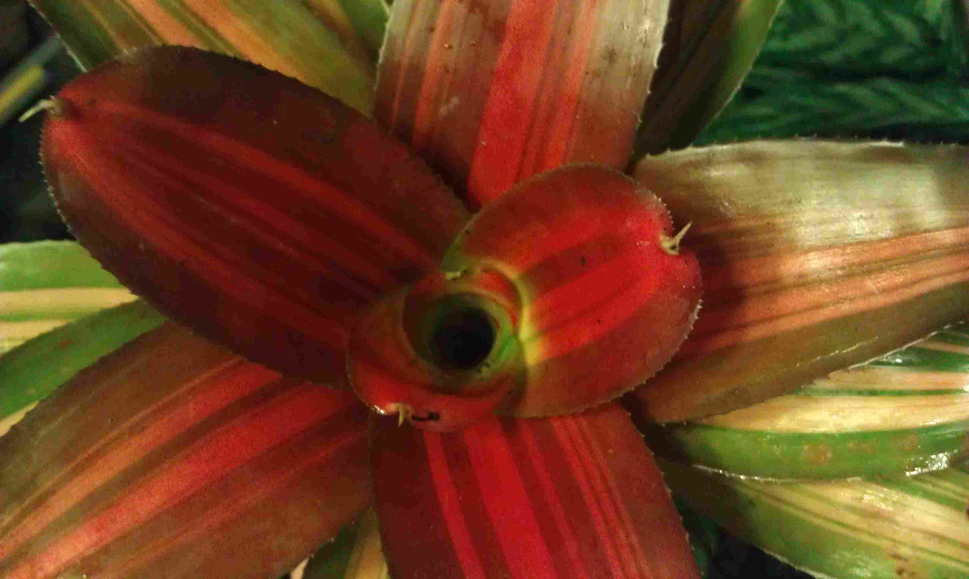 按此在新視窗瀏覽圖片