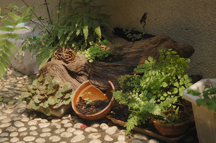 按此在新視窗瀏覽圖片