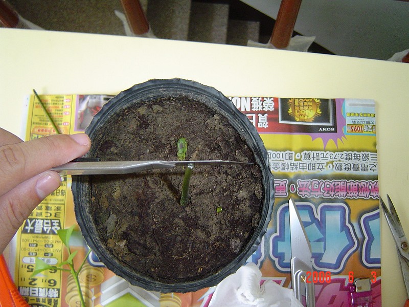 按此在新視窗瀏覽圖片