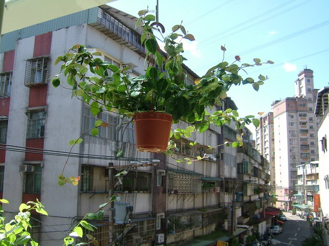 «ö¦¹¦b·sµøµ¡ÂsÄý¹Ï¤ù