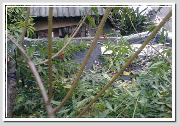 按此在新視窗瀏覽圖片