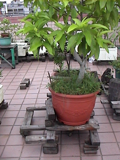 «ö¦¹¦b·sµøµ¡ÂsÄý¹Ï¤ù