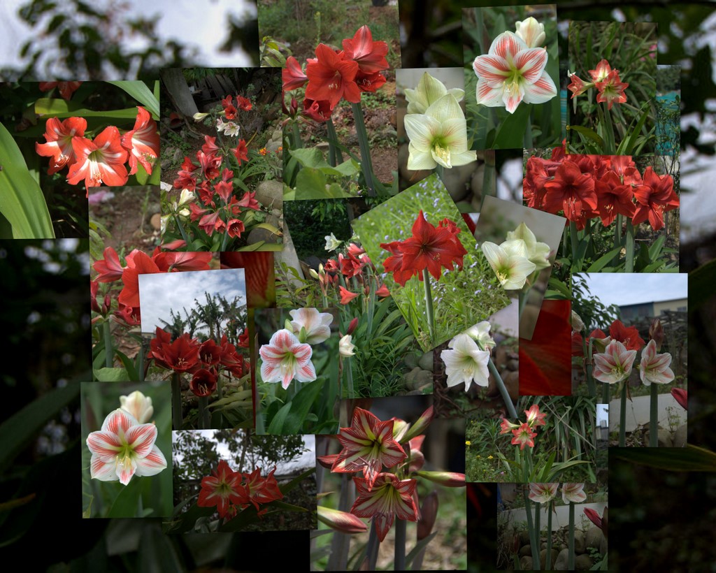 «ö¦¹¦b·sµøµ¡ÂsÄý¹Ï¤ù