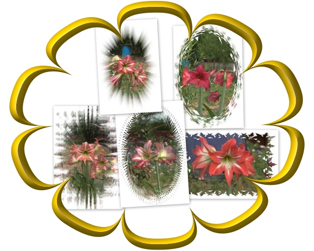 «ö¦¹¦b·sµøµ¡ÂsÄý¹Ï¤ù