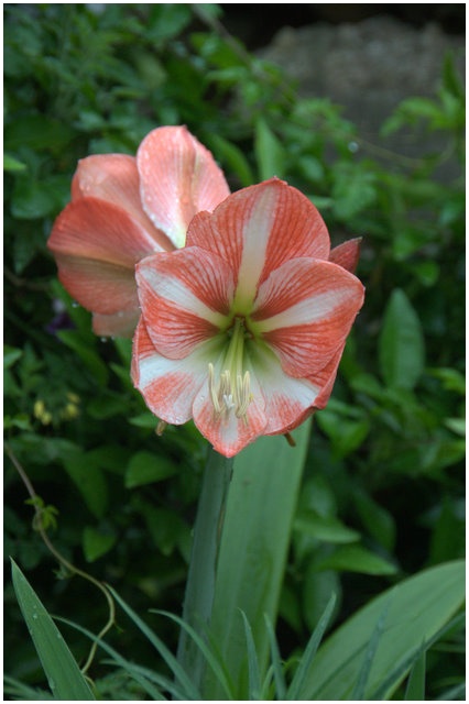 «ö¦¹¦b·sµøµ¡ÂsÄý¹Ï¤ù