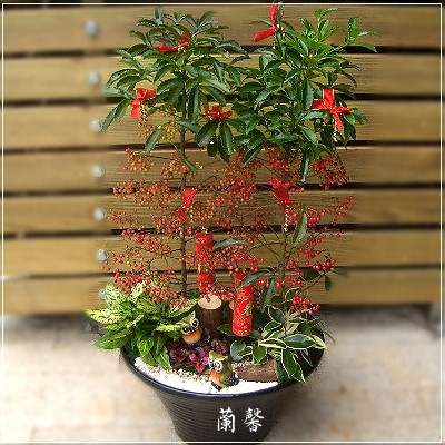 «ö¦¹¦b·sµøµ¡ÂsÄý¹Ï¤ù