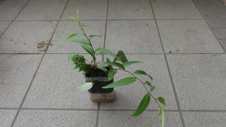 按此在新視窗瀏覽圖片