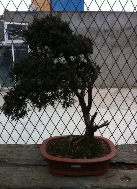 «ö¦¹¦b·sµøµ¡ÂsÄý¹Ï¤ù