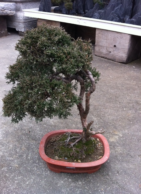 «ö¦¹¦b·sµøµ¡ÂsÄý¹Ï¤ù