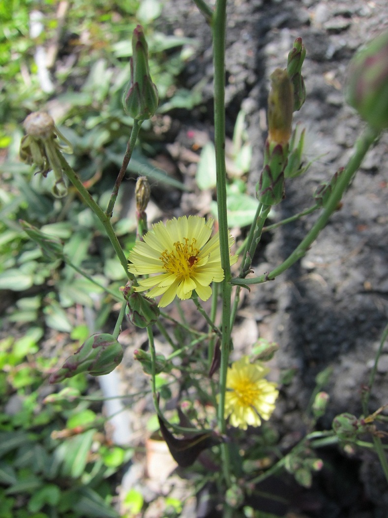 «ö¦¹¦b·sµøµ¡ÂsÄý¹Ï¤ù