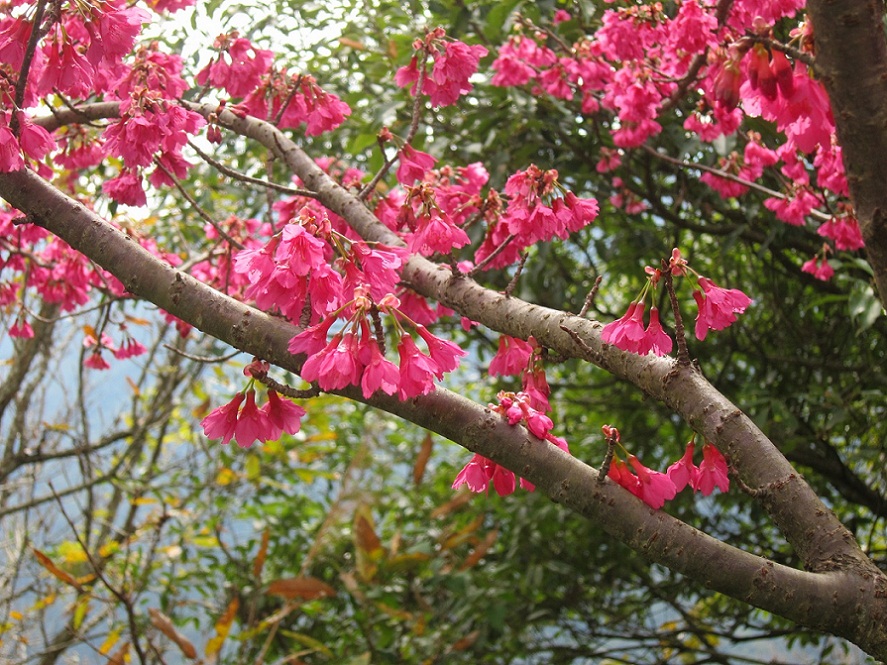 «ö¦¹¦b·sµøµ¡ÂsÄý¹Ï¤ù