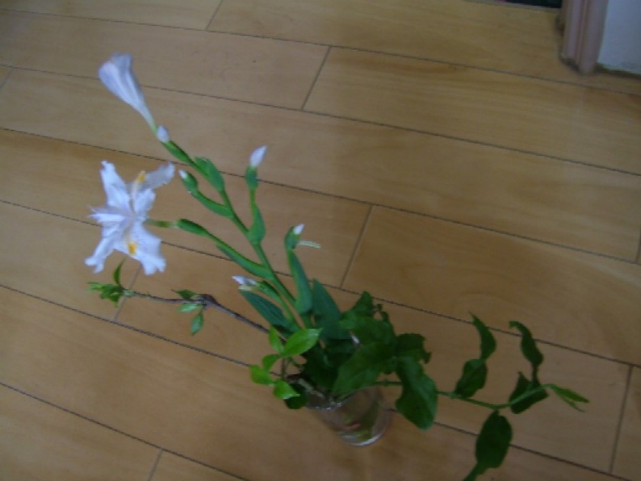 按此在新視窗瀏覽圖片