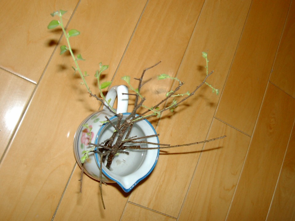 按此在新視窗瀏覽圖片