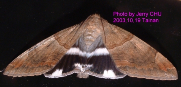 按此在新視窗瀏覽圖片