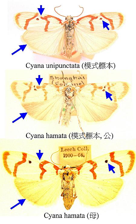 «ö¦¹¦b·sµøµ¡ÂsÄý¹Ï¤ù