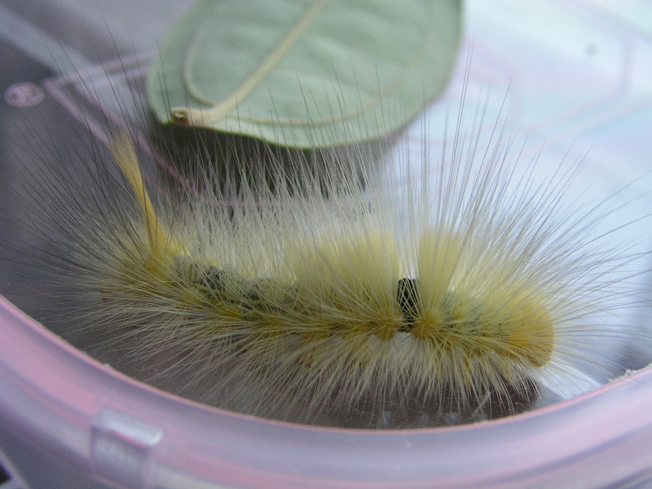 按此在新視窗瀏覽圖片