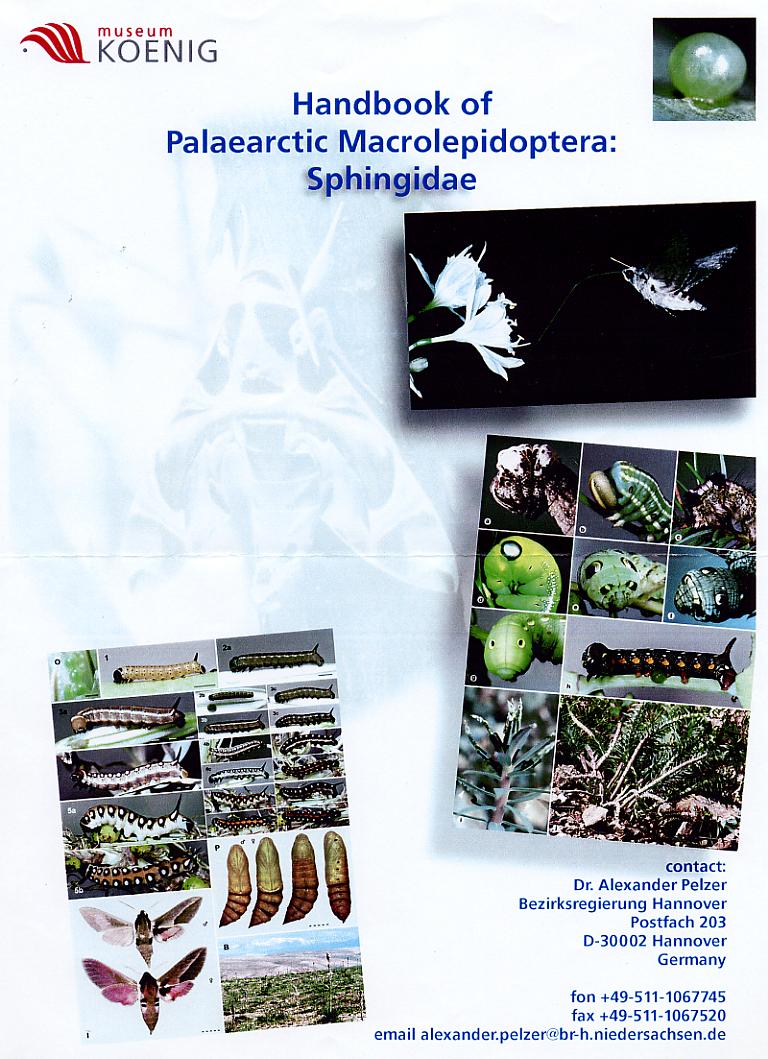 «ö¦¹¦b·sµøµ¡ÂsÄý¹Ï¤ù