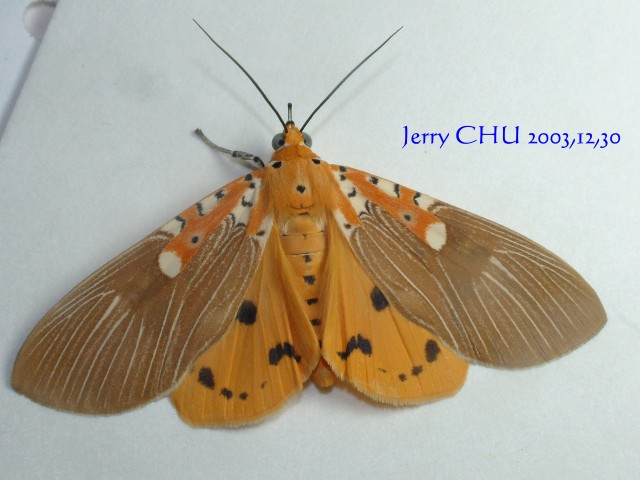 按此在新視窗瀏覽圖片