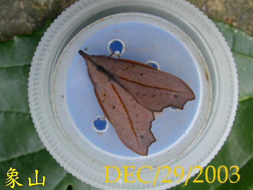 «ö¦¹¦b·sµøµ¡ÂsÄý¹Ï¤ù