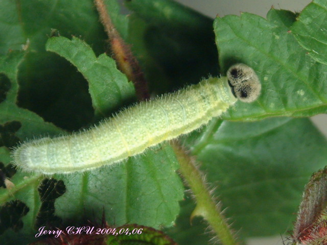 按此在新視窗瀏覽圖片