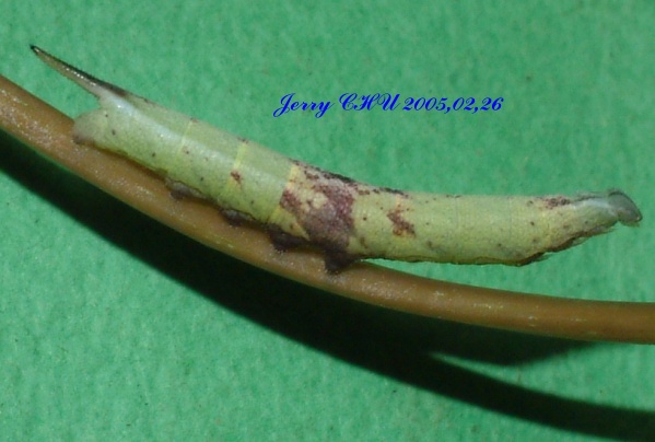 按此在新視窗瀏覽圖片