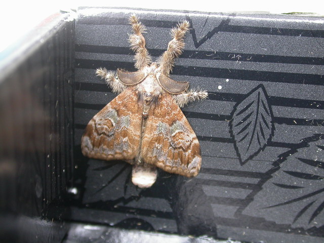 «ö¦¹¦b·sµøµ¡ÂsÄý¹Ï¤ù