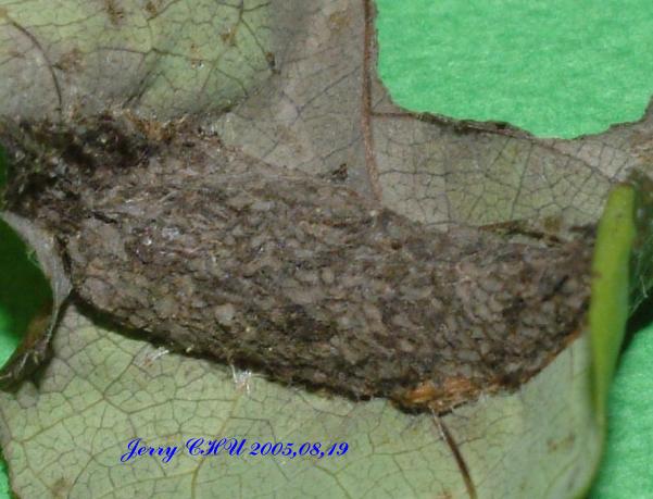 按此在新視窗瀏覽圖片