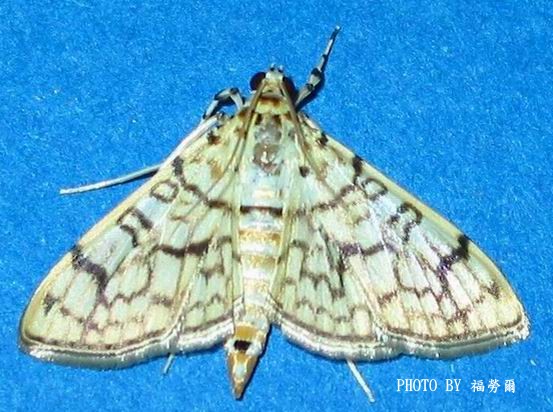 按此在新視窗瀏覽圖片